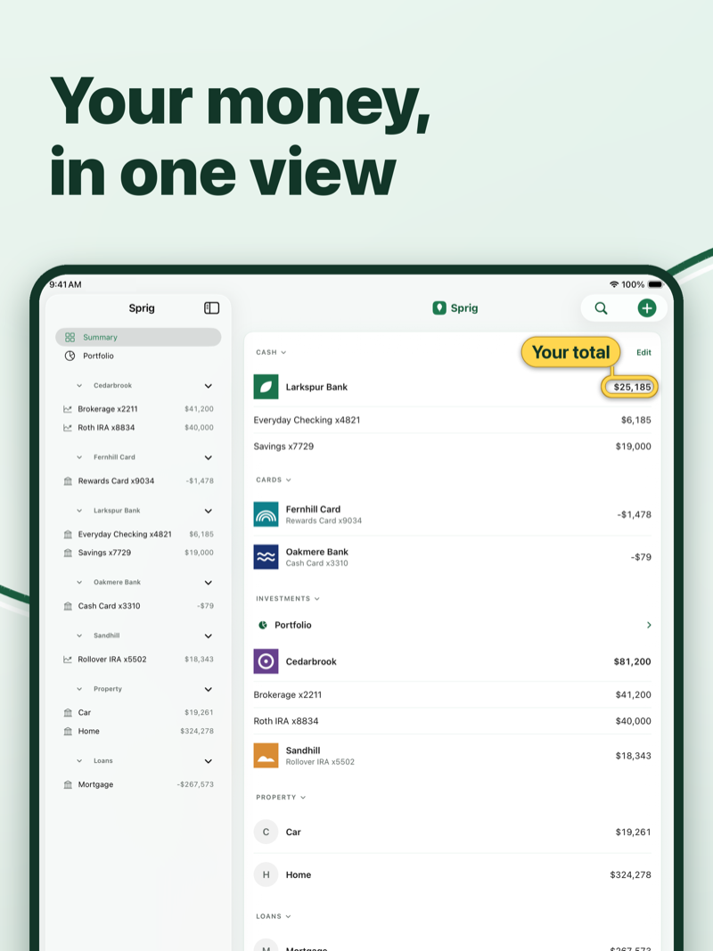 Sprig accounts and net worth on iPad